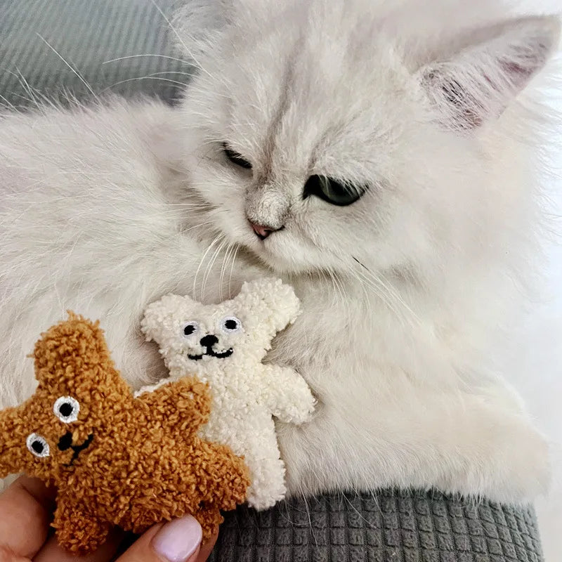 The Benefits of Daily Playtime for Pets
